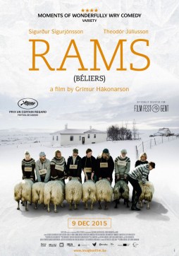 rams